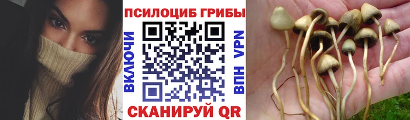 Галлюциногенные грибы Magic Shrooms  даркнет наркотические препараты  Джанкой 